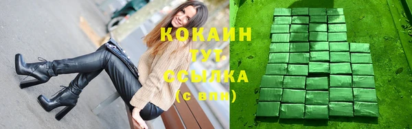 дмт Богородицк