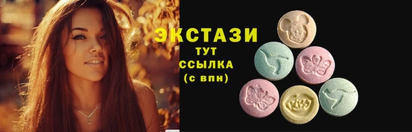 дмт Богородицк