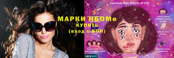 дмт Богородицк