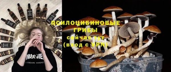 дмт Богородицк