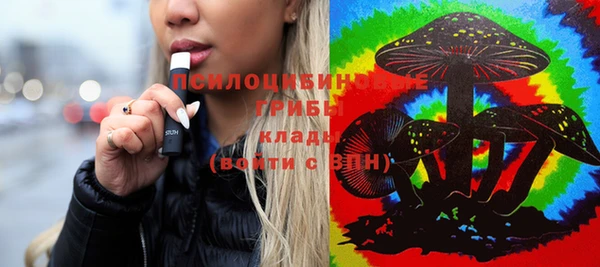 не бодяженный Богданович