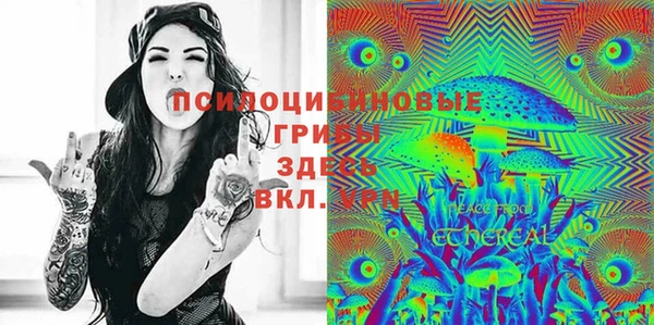 прущий лед Богородск