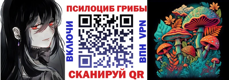 Псилоцибиновые грибы GOLDEN TEACHER  Малоярославец 